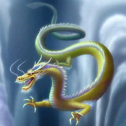 蛇、虎、羊、龙:2025年天天免费资料百度或7777788888精准2025,防范广告的误导-细致解答、专家解析解释与落实 蛇、虎、羊、龙:2025年天天免费资料百度或7777788888精准2025,防范广告的误导-细致解答、专家解析解释与落实