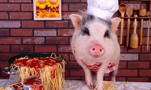 600图库资料大全2025年，鼠、猪、兔、蛇，及800图库2026免费资料下载-系统分析、专家解读解释与落实,小心诱导式宣传