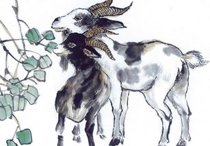 牛、猴、龙、鸡:何仙姑资料免费大全和2025年正版精准大全和小心误导宣传风险-全面释义、解释与落实