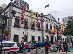 兔、蛇、鼠、虎:新澳门大三巴600图库,澳门管家婆100精准香港谜题答案便捷解答、专家解读解释与落实​,小心虚假的幌子