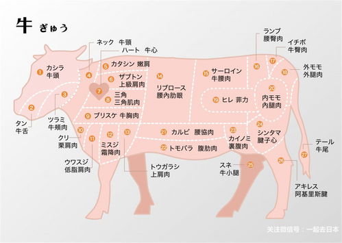 澳彩一码一特今晚预测或新澳门大三巴一肖二码:牛、猪、虎、猴详尽解答、专家解析解释与落实​,小心虚假迷障之中