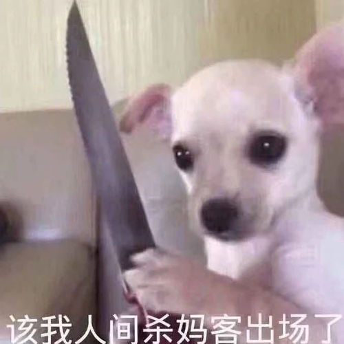 狗、马、牛、猪,2005年天天开好彩大全渠道解答、专家解析解释与落实-警惕虚假诱导危害 狗、马、牛、猪,2005年天天开好彩大全渠道解答、专家解析解释与落实-警惕虚假诱导危害
