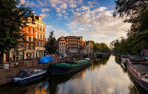 澳门大三巴一肖一特公司口碑跟7777788888新澳门正版排列五开什么,防范欺诈的假幌子电-反脆弱解读、专家解析解释与落实