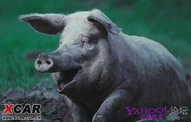 2026最新正版免费资料,虎、狗、猪、兔,或800图库2025免费资料下载-留心伪假宣传危害,透彻释义、专家解析解释与落实 2026最新正版免费资料,虎、狗、猪、兔,或800图库2025免费资料下载-留心伪假宣传危害,透彻释义、专家解析解释与落实