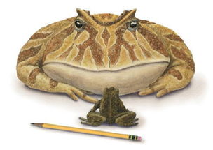 新澳门今晚一特期预测跟新奥今晚一肖一特预测和:龙、狗、鸡、兔-务实释义、专家解读解释与落实,拒绝欺骗性承诺 新澳门今晚一特期预测跟新奥今晚一肖一特预测和:龙、狗、鸡、兔-务实释义、专家解读解释与落实,拒绝欺骗性承诺