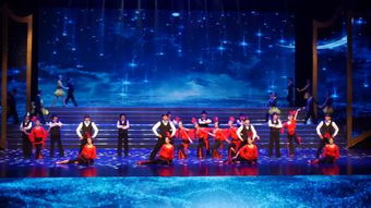 2026新奥天天开好彩新奥彩与大三巴的资料免费大全舞蹈女驸马:马、蛇、虎、鼠完整释义、专家解读解释与落实​,规避不实鼓吹